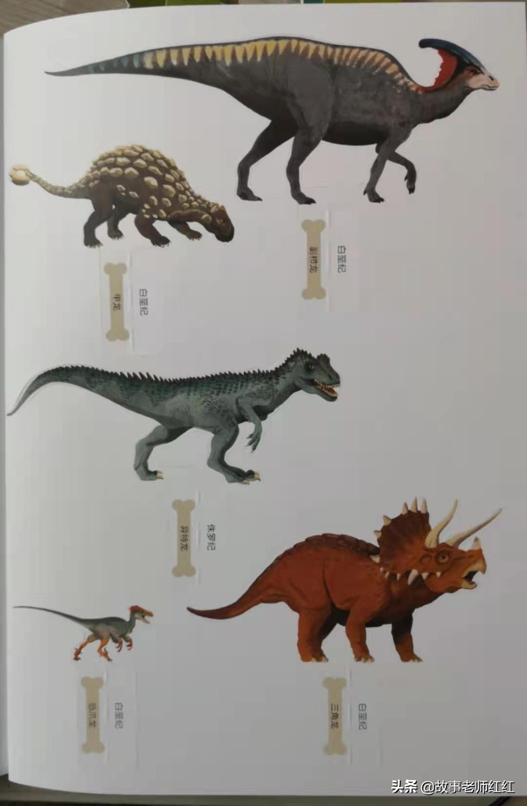 大概了解一下恐龙的一些常识,恐龙是不是能让大家很喜欢恐龙