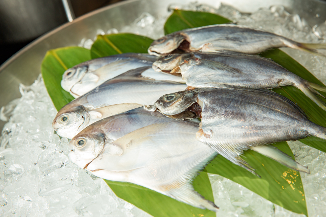 打卡佛山帆船度假酒店,佛山最顶级酒店打卡