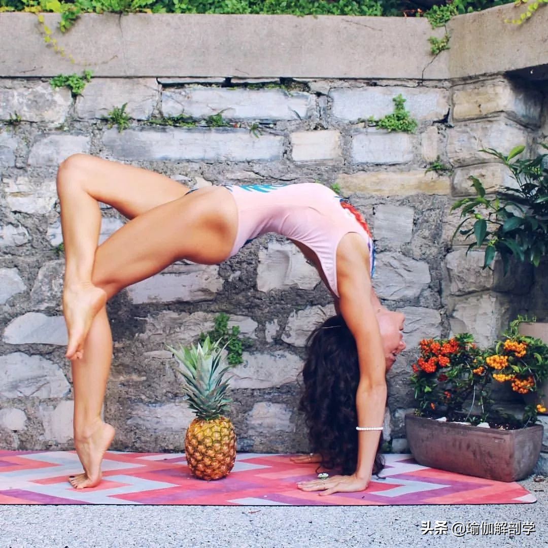 初学者在家就能练的瑜伽经典动作,初学者如何快速get到瑜伽轮式