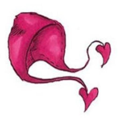 海贼王中出现的帽子,海贼王燃烧意志等级可以继承吗