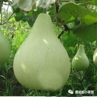 葫芦里的小女孩视频,葫芦里的小女孩是谁