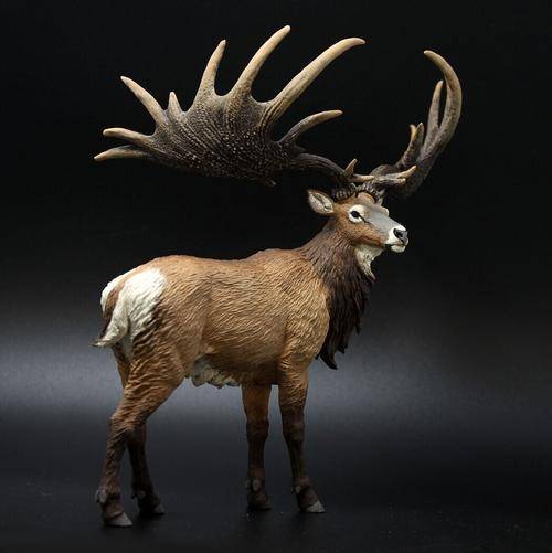 梅花鹿的鹿茸砍掉会死吗,鹿茸割了梅花鹿会受影响吗