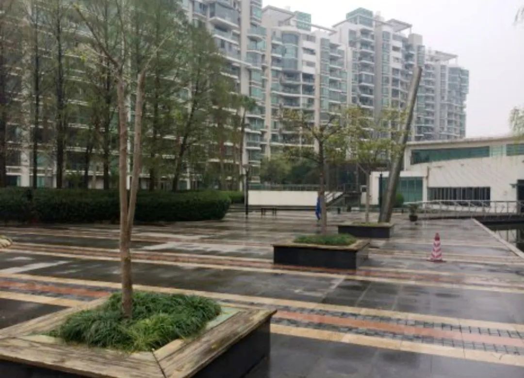 今年人户一致还没分到想要的学校,上海哪些小学好又好进