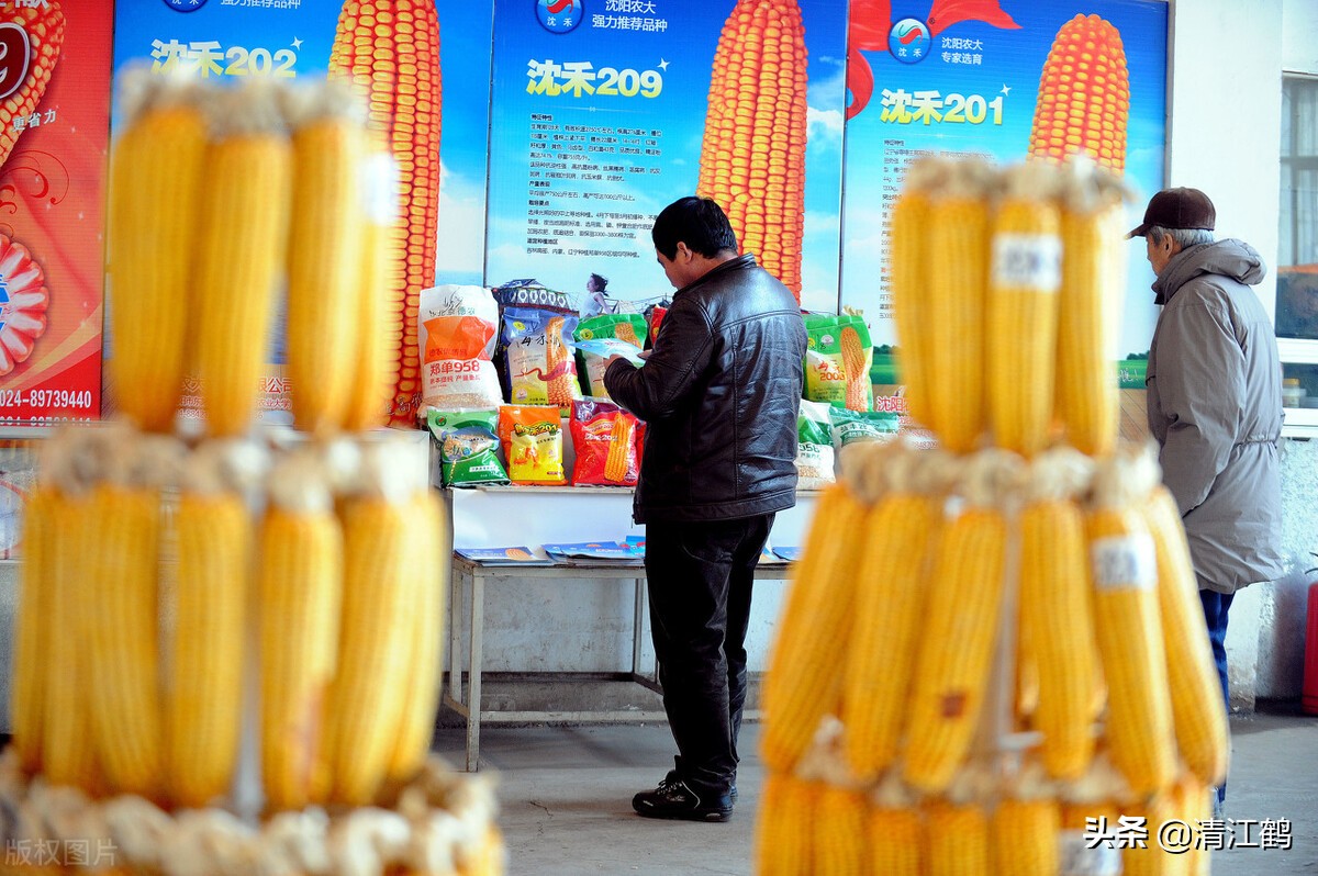 种子销售的前景,种子销售法则