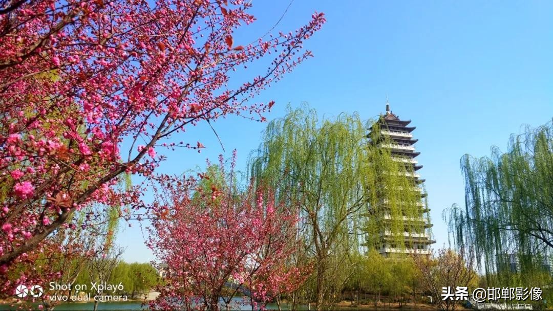 临漳七子湖的传说,临漳七子湖以前是什么样子的