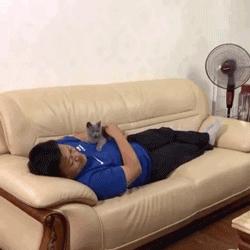 养猫后儿子鼻过敏，妈妈心生一计：不如你搬出去住吧！