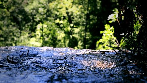 sweetwater翻译成甜水,sweetwater爆笑翻译