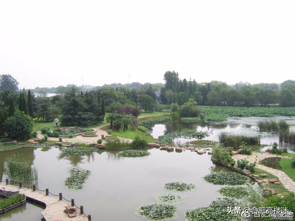 合肥五一旅游景点攻略大全,五一假期合肥旅游人气爆棚