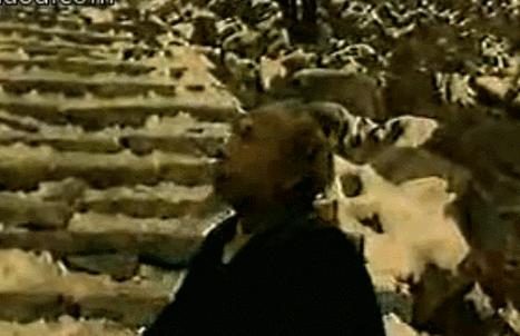 中国电视剧特效退化史：AI换头没《西游记》逼真，投资4亿效果5毛