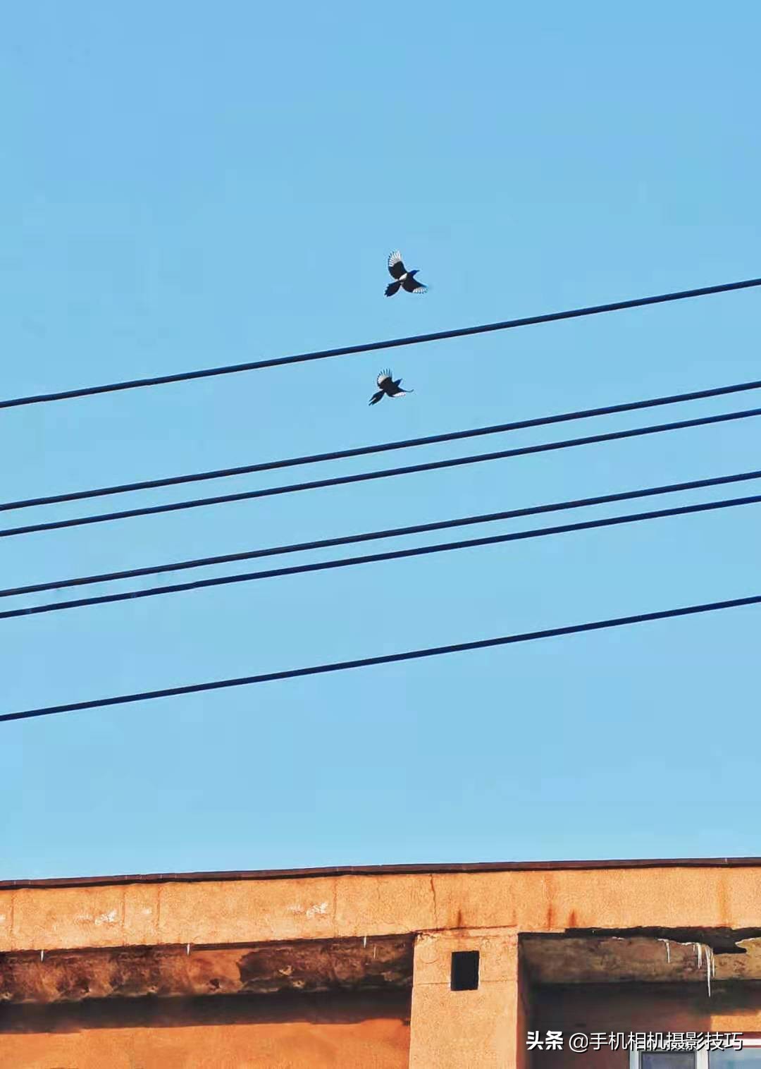 轻松拍摄漂亮照片四大法则构图篇,十种构图法拍的照片