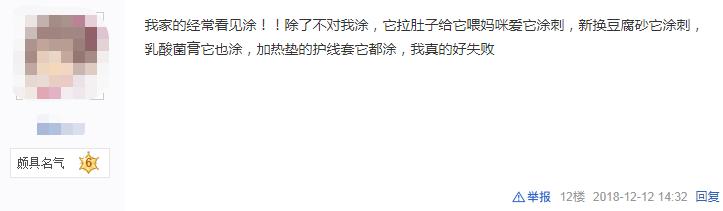 快给非洲迷你刺猬咬吧！咬了涂刺就算征服它了？小心被白咬了
