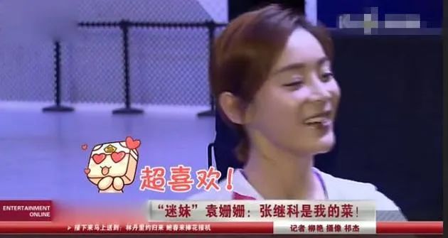 袁姗姗浮沉史,小三上位电视剧袁姗姗