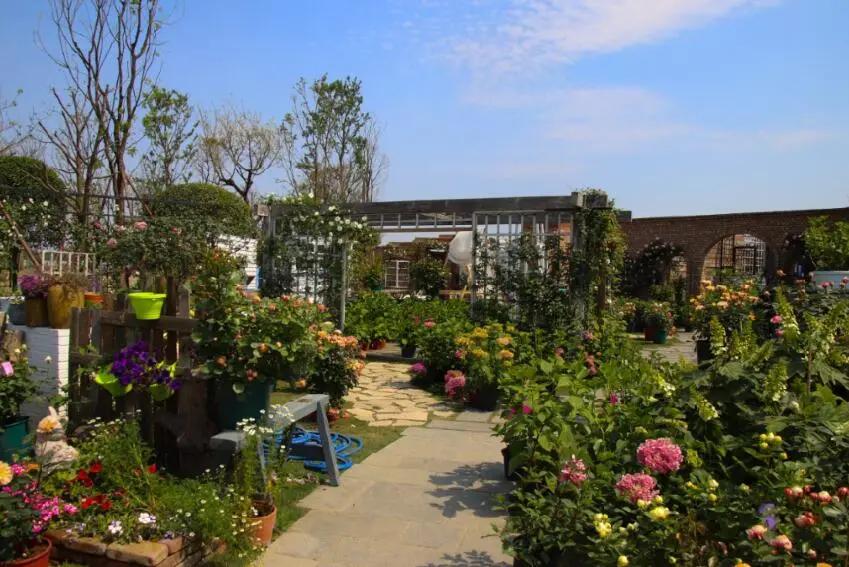 不只是卖花！春天花乐园2.0来了