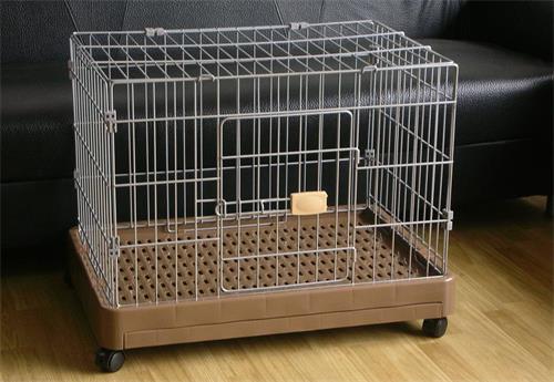 猫咪猫癣只使用伊来曲康管用吗,猫咪猫癣抹百多邦可以吗