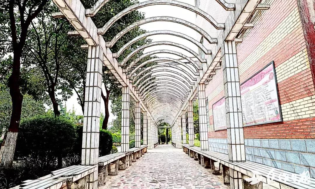 这里是，焦作市第四中学！