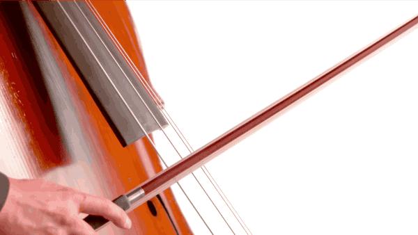 成人学什么乐器简单易学易上手,成人想学一门乐器哪种简单