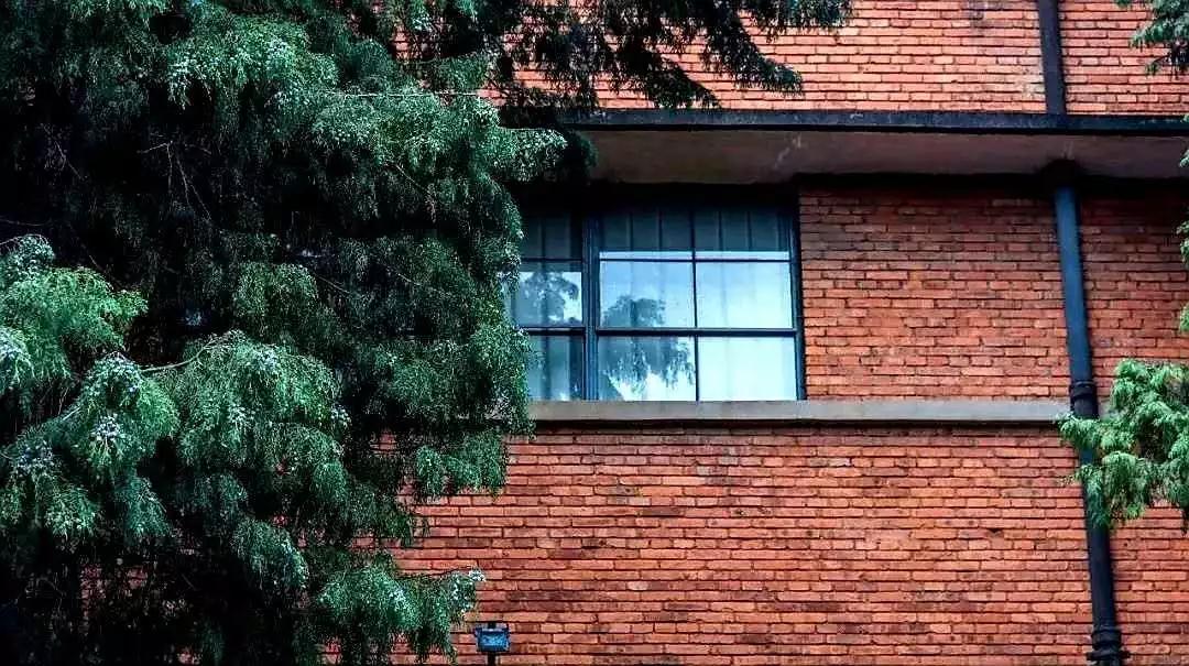 蓝花楹昆明网红打卡地在哪里,昆明周边湿地公园网红打卡地