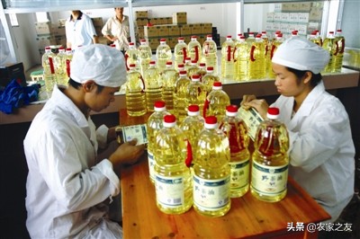 巴马特点美食火麻仁汤,巴马瑶寨火麻汤