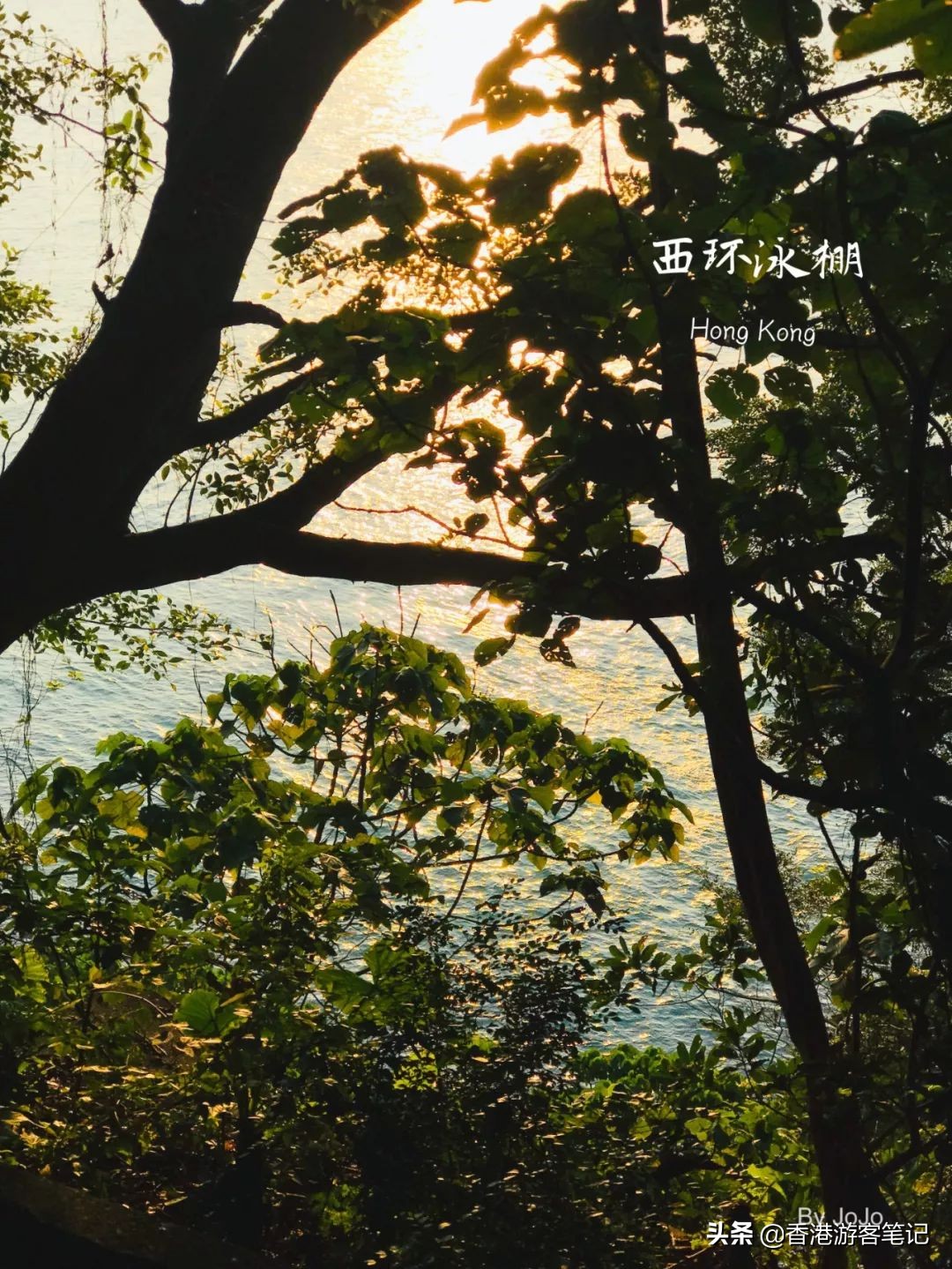 香港打卡地彩虹邨,香港景点彩虹邨