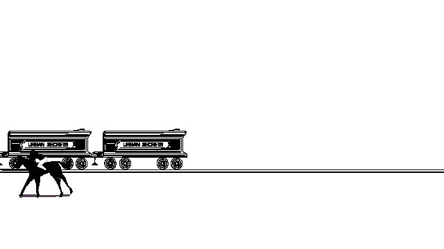 旗人八大姓,杭州旗人姓氏大全