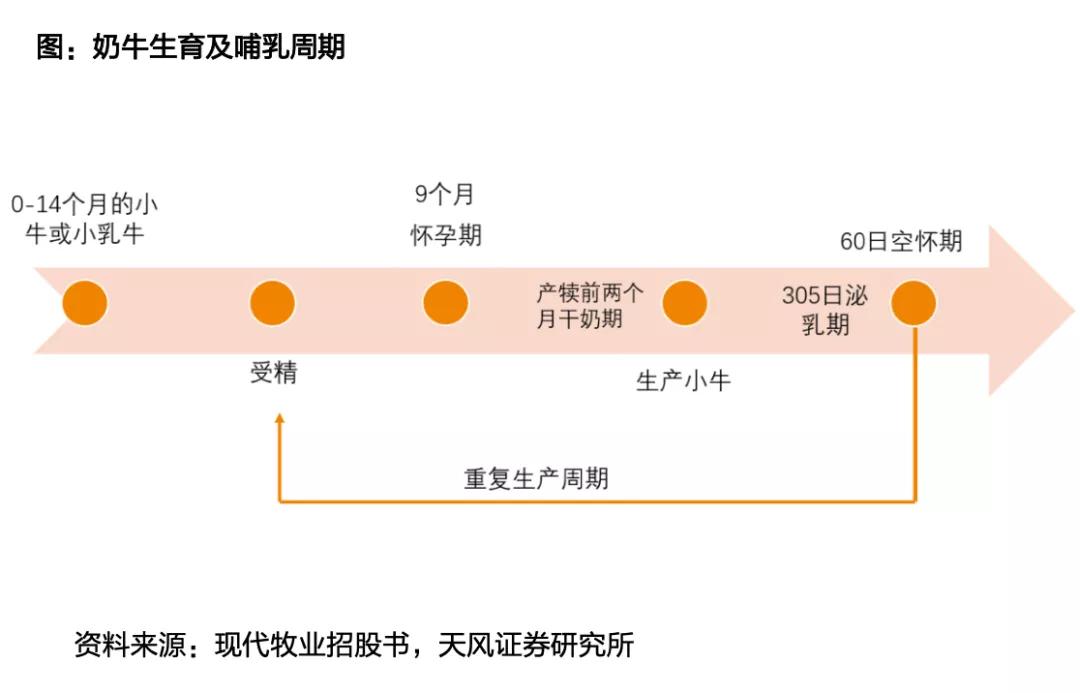 三鹿奶粉等食品安全事件,三鹿奶粉重大食品安全事故启示