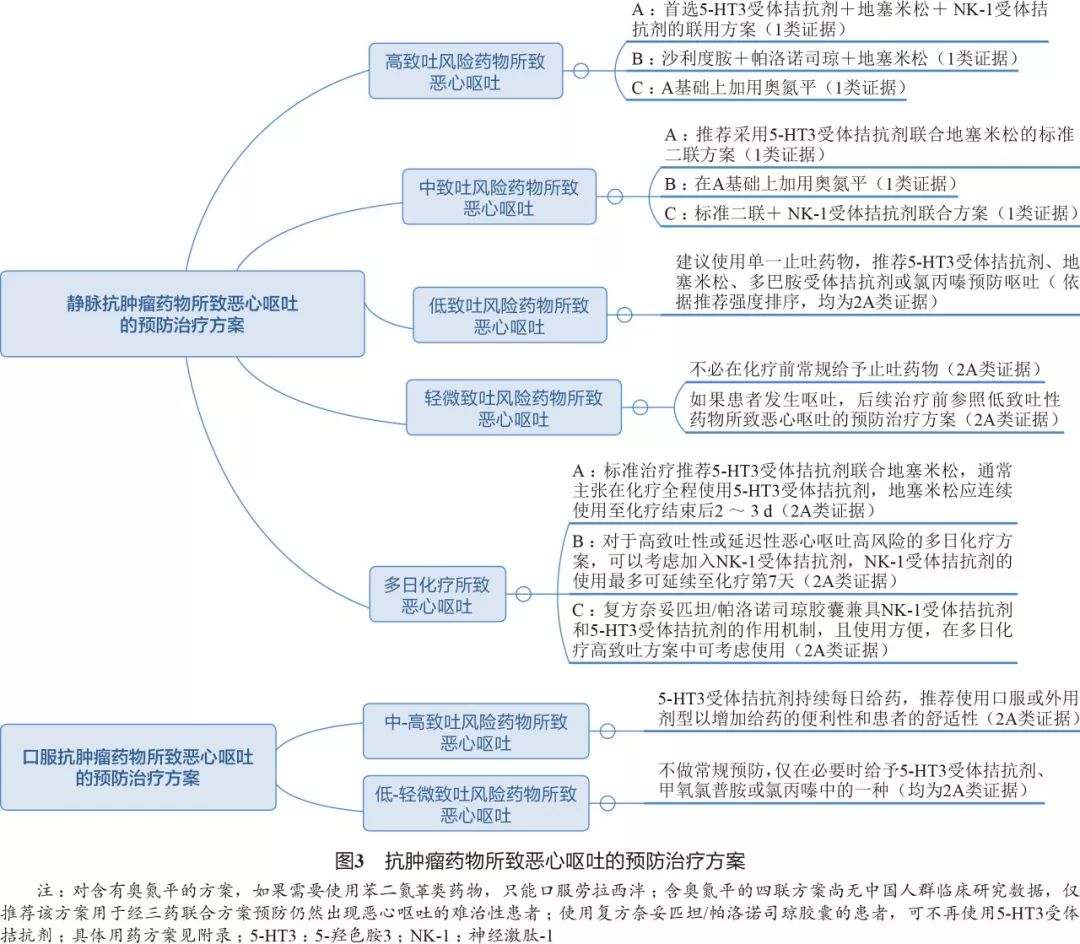 抗肿瘤药为什么胃肠道反应大,抗肿瘤药物引起的腹泻怎么处理