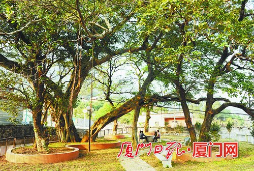 离退休老干部热议两会,离退休干部热议两会