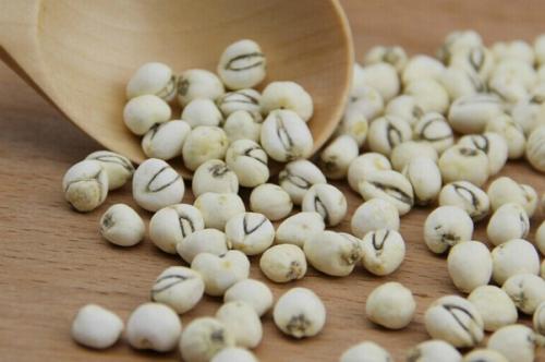 川贝母的食疗养生大全,川贝母是食疗还是药疗