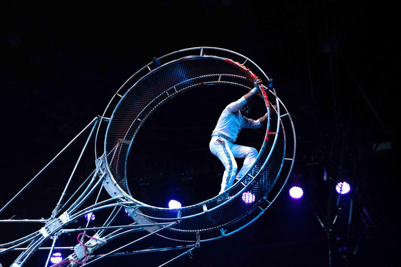 玩转广州长隆野生动物世界之行,广州长隆动物世界游玩攻略图