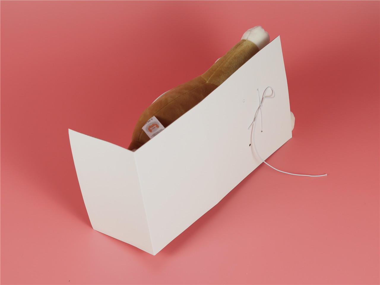 「超逸酷玩」小柴哄睡机陪伴入眠宝宝的好伙伴！