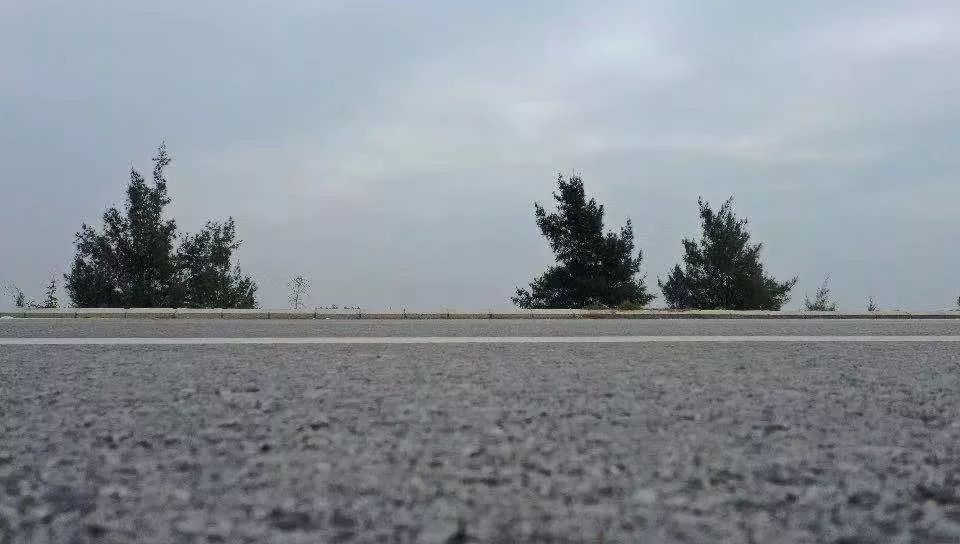 钦州最便宜的海鲜市场,钦州海鲜哪里最便宜