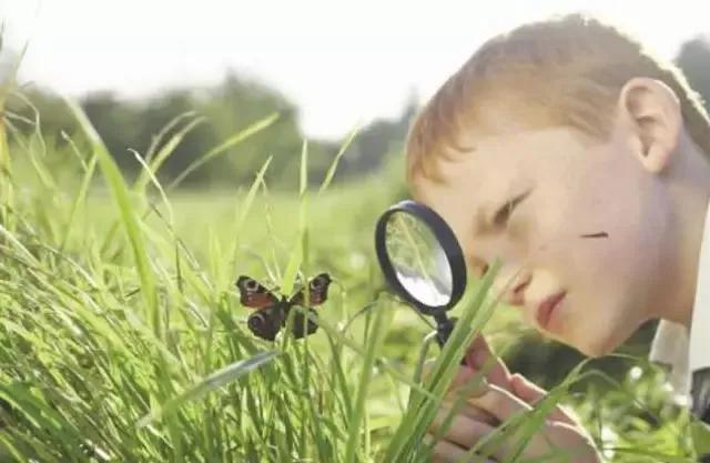 幼儿启蒙的方法有哪四方面,幼儿启蒙方法视频教程