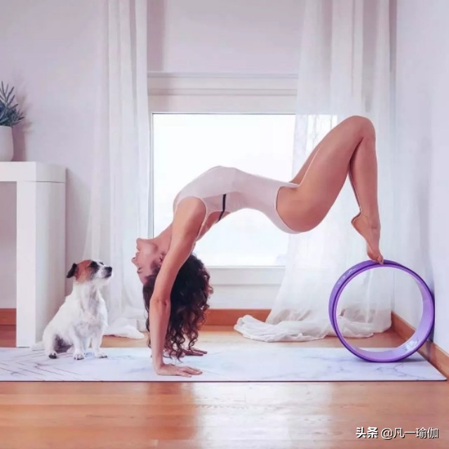 初学者练习瑜伽需要哪些辅助,练瑜伽有什么大型器材