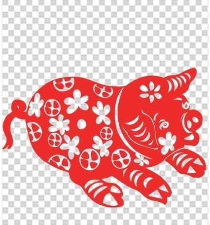 从丁亥到己亥—武昌水果湖中学六六届高三（1）班同学集会本命年