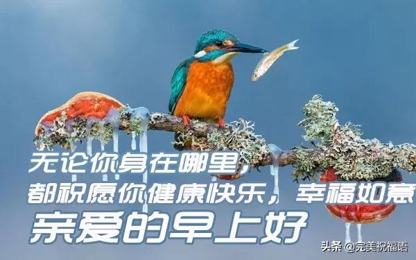 早安问候牵挂精美短句,早安问候一个人的句子