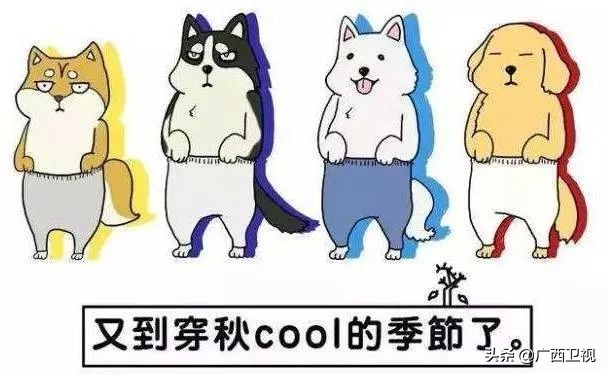 巴马的神秘之处,巴马不解之谜