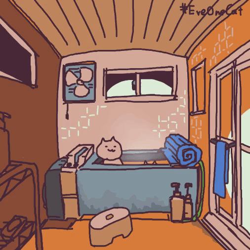 养猫可以让你变得更健康吗,老人养猫为什么比较乖玄学