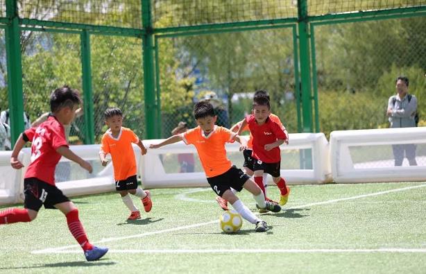 娌冲崡鍛ㄥ彛纭牳,鍛ㄥ彛鏍″洯瓒崇悆