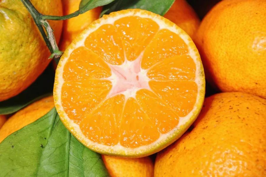 乡村旅游脱贫致富视频,贵州66个贫困县全部脱贫