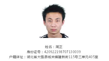 13名涉黑涉恶通缉犯落网,大悟扫黑除恶通缉犯名单图片