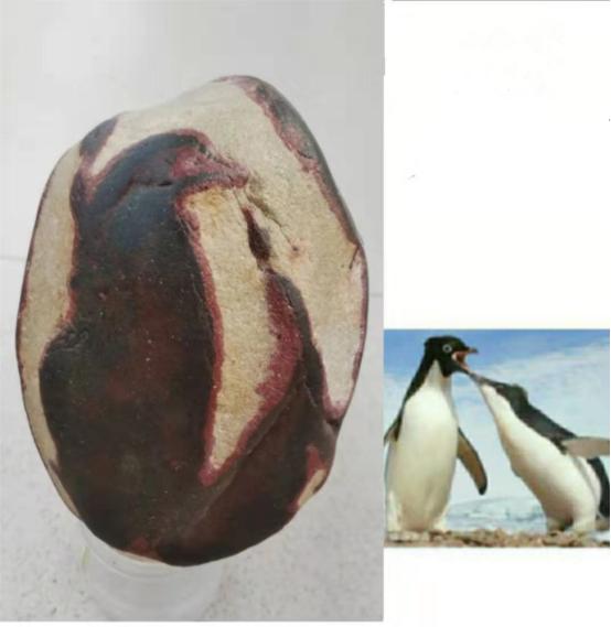 都是些什么“鸟石”？保证有你好看