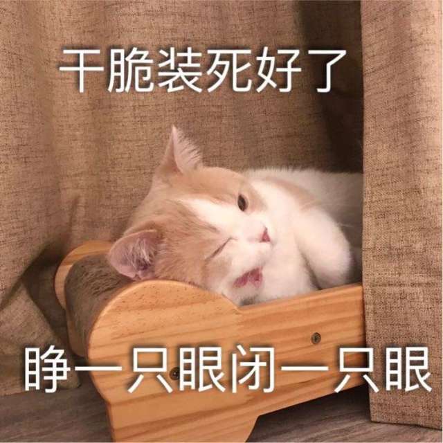 太有意思了动态表情包,表情包游戏很搞笑