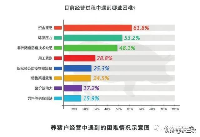 生猪养殖户目前养殖情况,中规模养殖生猪养殖成本分析