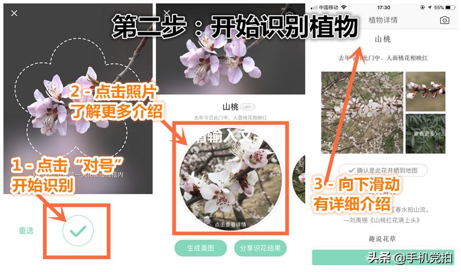 如何拍照识别花草植物,如何扫一扫快速识别花草