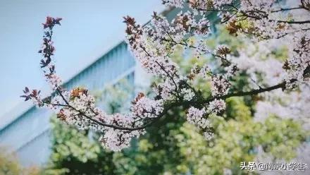 南京最贵民办大学学费,南京成人本科多少钱