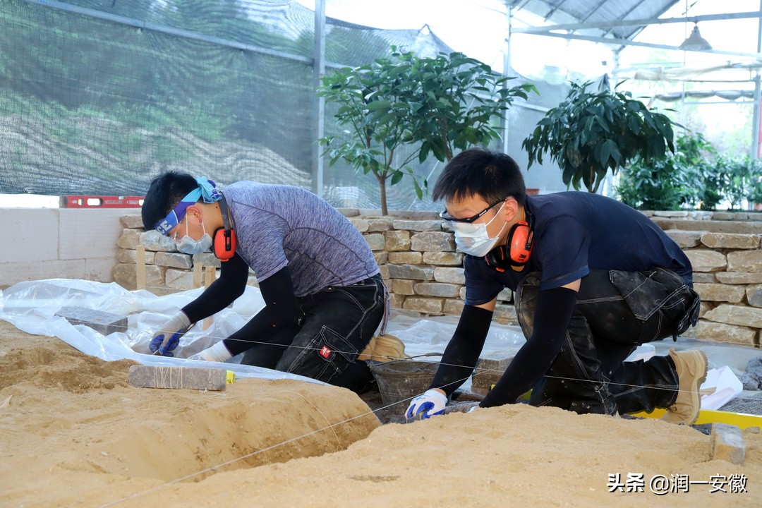 第47届世界技能大赛园艺选拔,第45届世界技能大赛花艺赛项