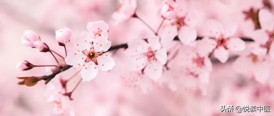 女生大姨妈注意事项大全,大姨妈期间注意事项及食谱