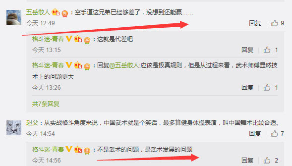 传武人被极真空手道打不还手！五岳散人：空手道兄弟够差了还能赢