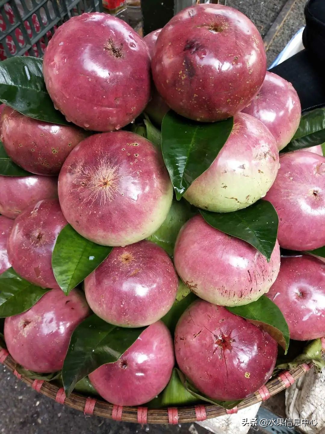 国内好吃的热带水果有哪些,小众水果推荐