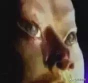 不瞒你说，我是看这些广告长大的